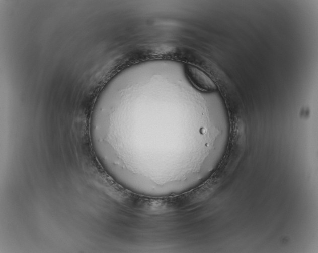 X0000110910565200907021438