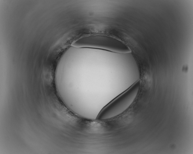 X0000110910566200907021438