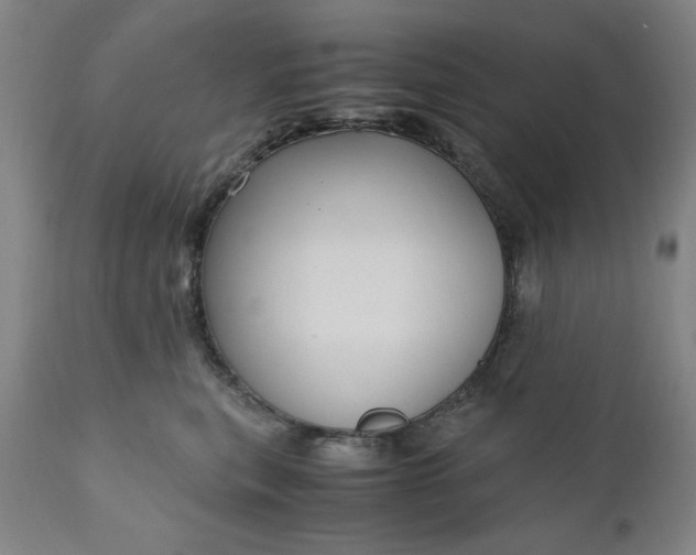 X0000110910567200907021438