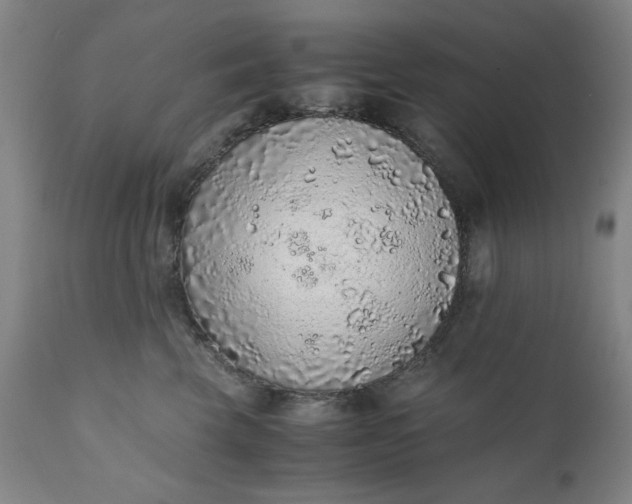 X0000110910569200907021438