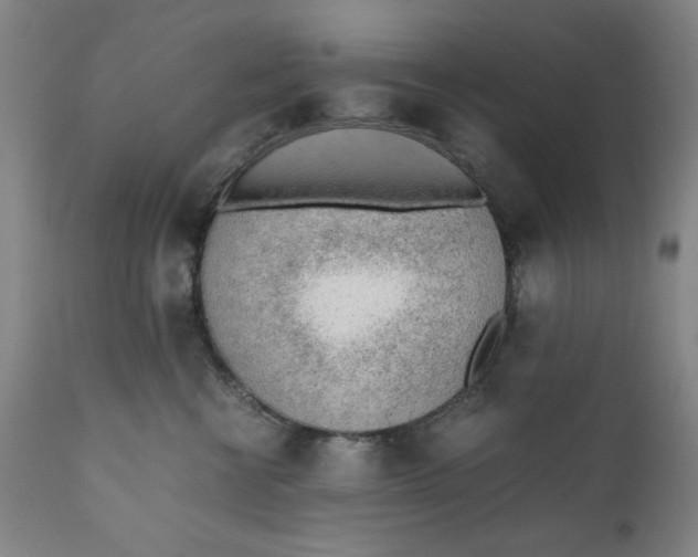 X0000110910570200907021438