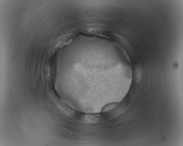 X0000110910571200907021438