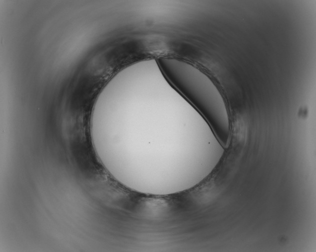 X0000110910572200907021438