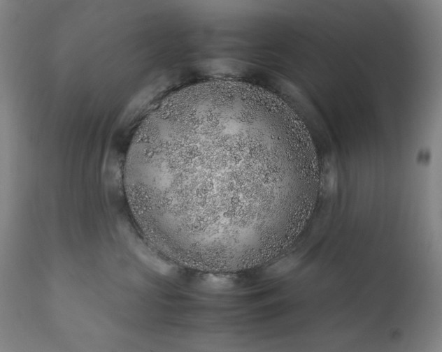 X0000110910573200907021438