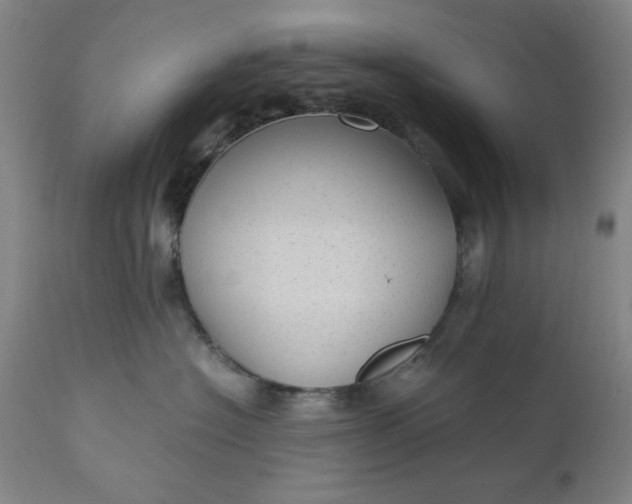 X0000110910574200907021438