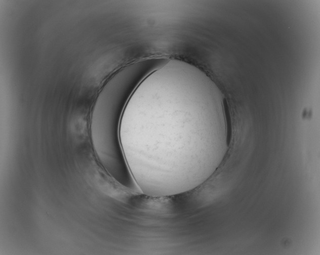 X0000110910576200907021438