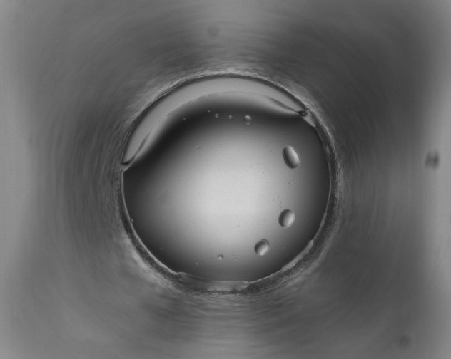 X0000110910577200907021437