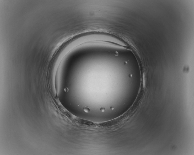 X0000110910579200907021437