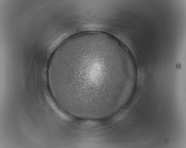 X0000110910581200907021437