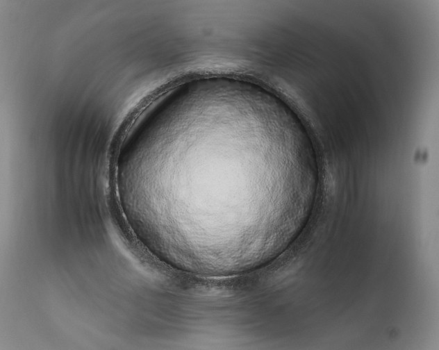 X0000110910582200907021437