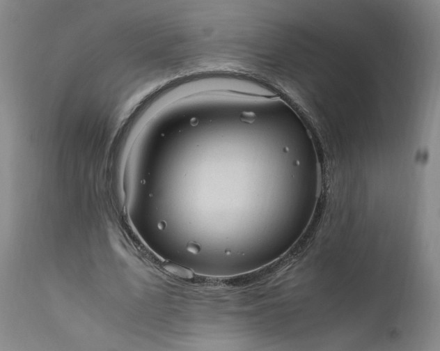 X0000110910583200907021437