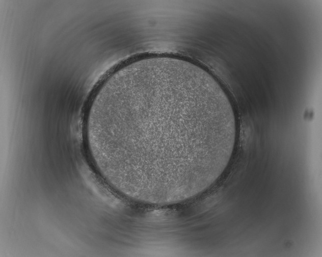 X0000110910584200907021437