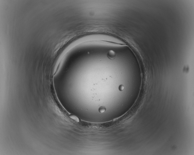 X0000110910585200907021437