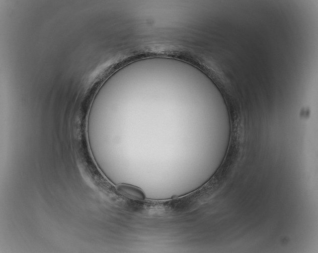 X0000110910587200907021437