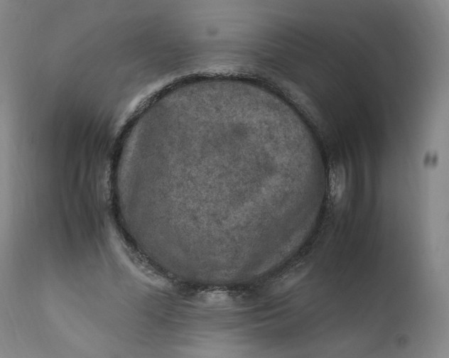 X0000110910588200907021437