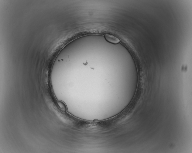 X0000110910589200907021437