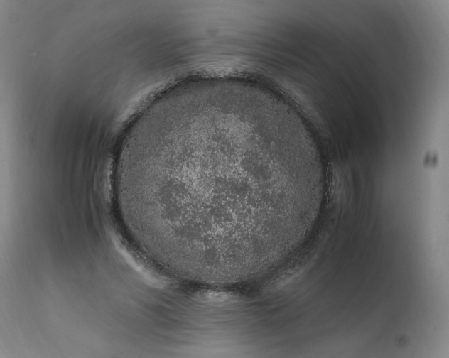 X0000110910590200907021437