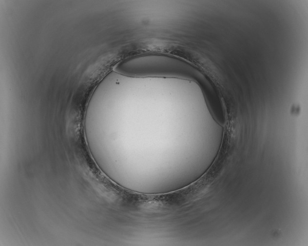 X0000110910593200907021437