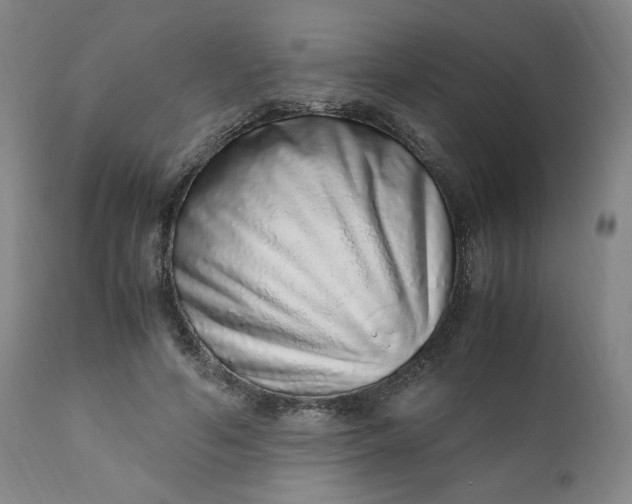 X0000110910594200907021437