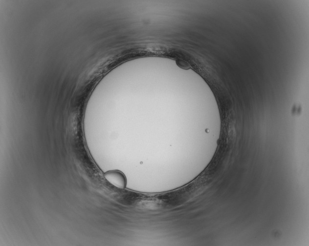 X0000110910595200907021437