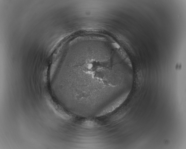 X0000110910596200907021437