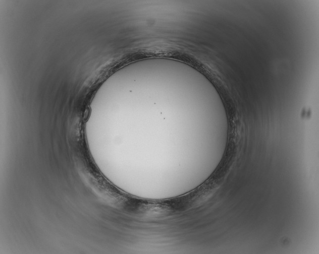 X0000110910597200907021437