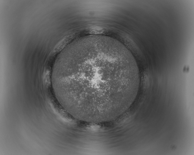 X0000110910598200907021437