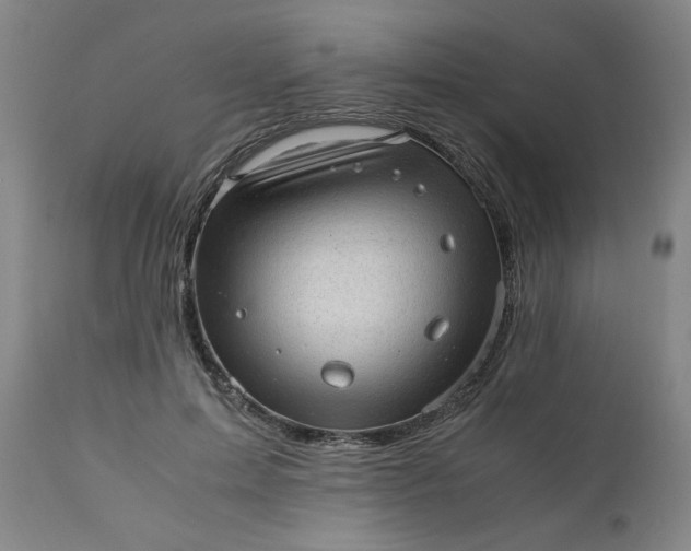 X0000110910599200907021437