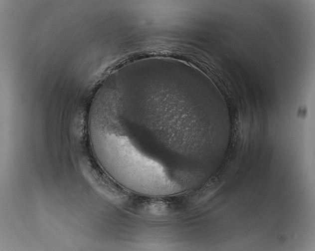 X0000110910600200907021437