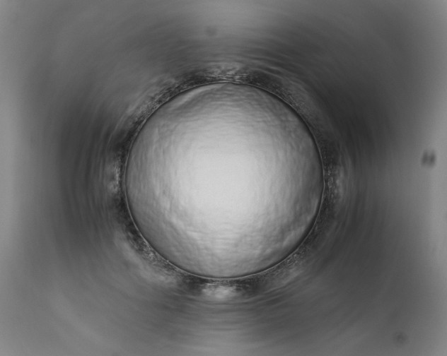 X0000110910602200907021437