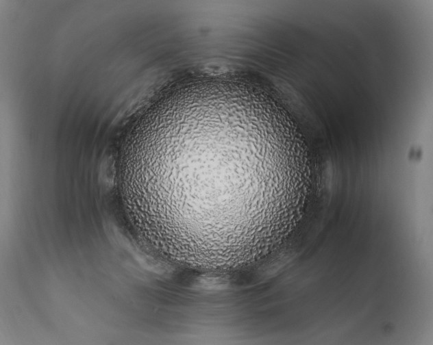 X0000110910606200907021437