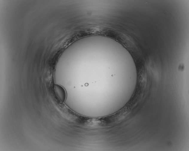 X0000110910607200907021437