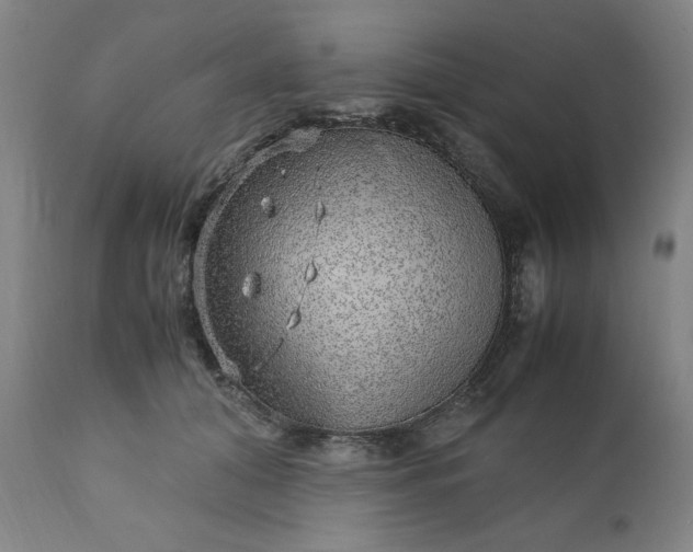 X0000110910608200907021437