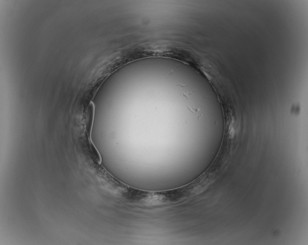 X0000110910609200907021437