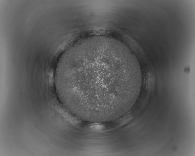 X0000110910610200907021437