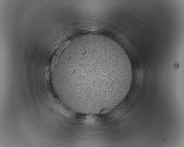 X0000110910612200907021436