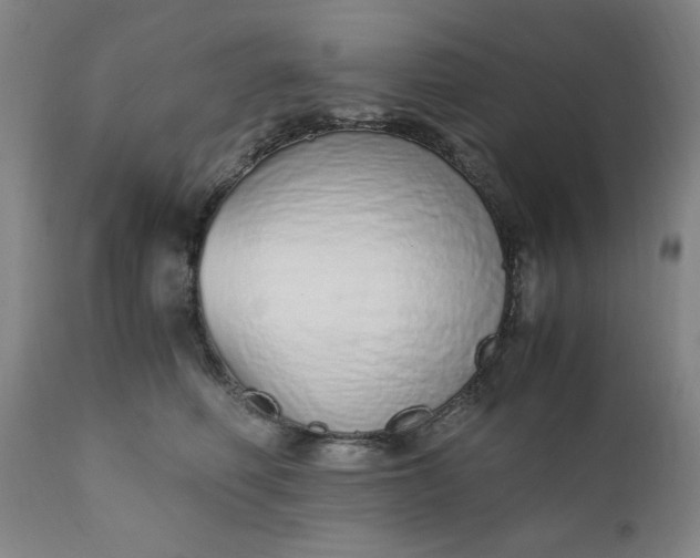 X0000110910614200907021436