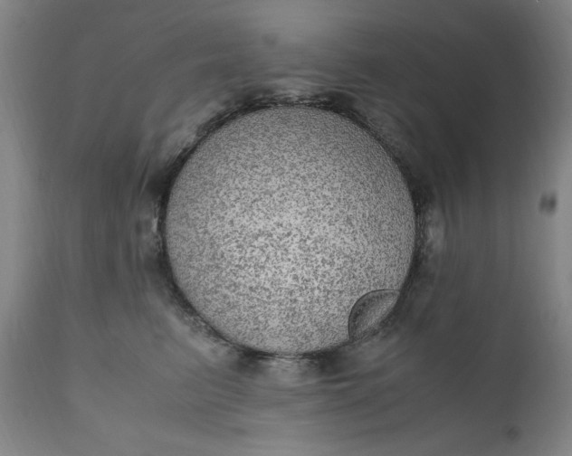 X0000110910615200907021436