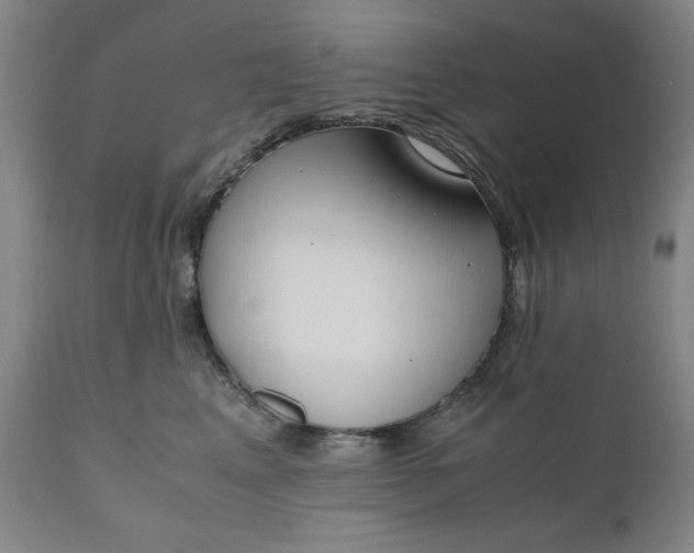 X0000110910617200907021436