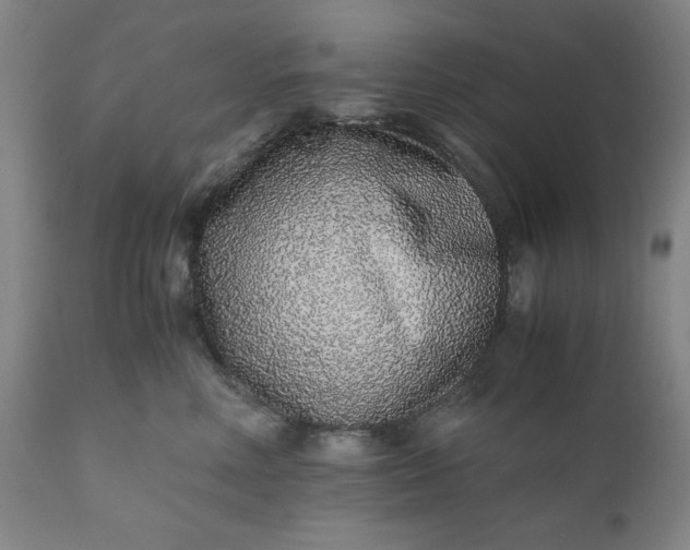 X0000110910618200907021436