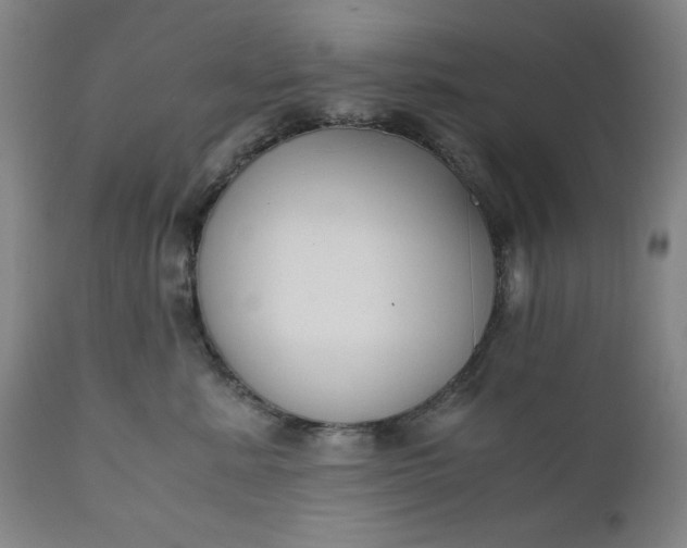 X0000110910619200907021436