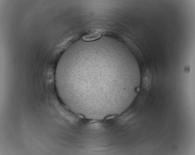 X0000110910620200907021436