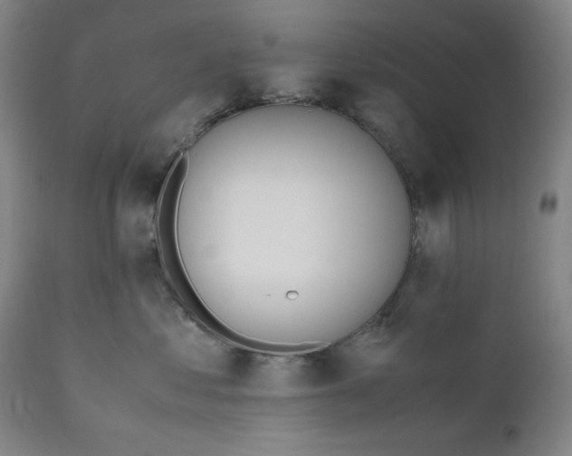 X0000110910621200907021436