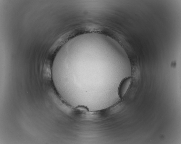 X0000110910622200907021436