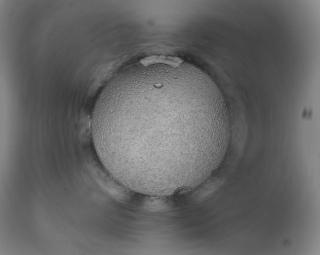 X0000110910624200907021436