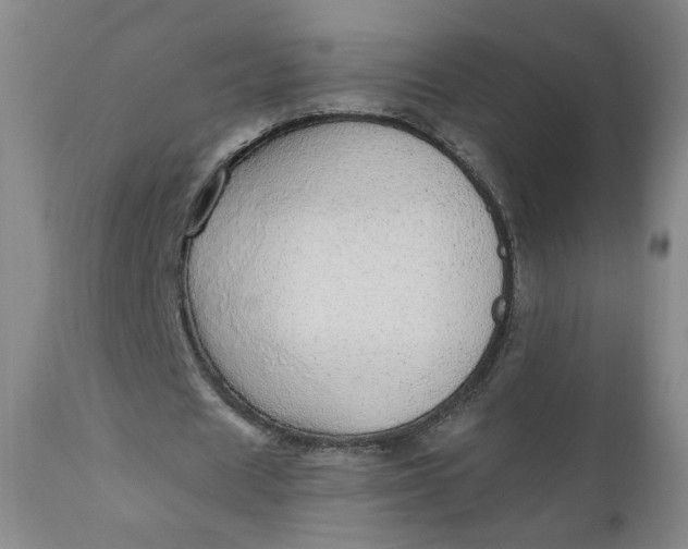 X0000110910625200907021436