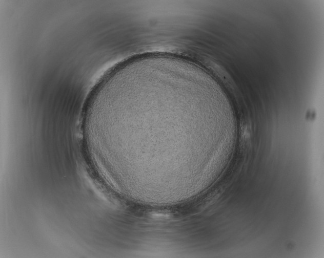 X0000110910628200907021436