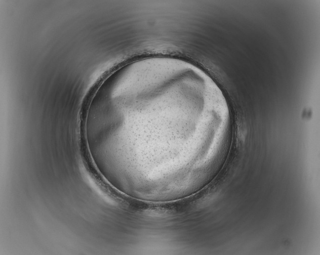 X0000110910630200907021436