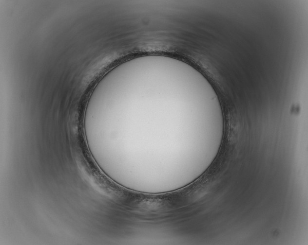 X0000110910631200907021436