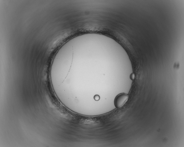 X0000110910635200907021436